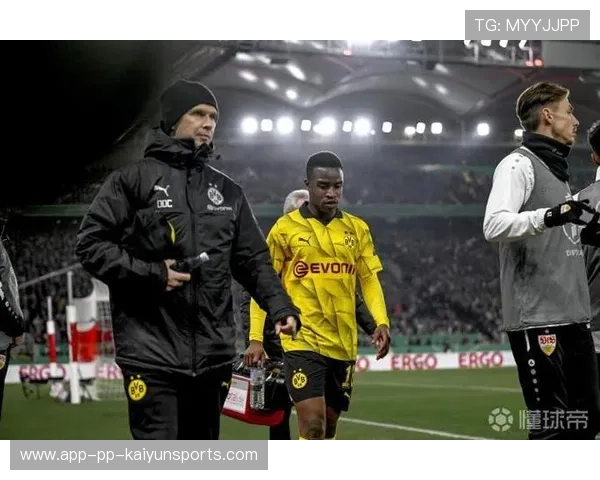 球队伤病恢复情况追踪，球员伤病情况